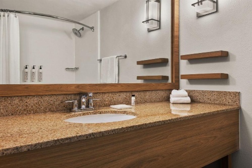 Delta Hotels by Marriott Orlando Celebration image 39
